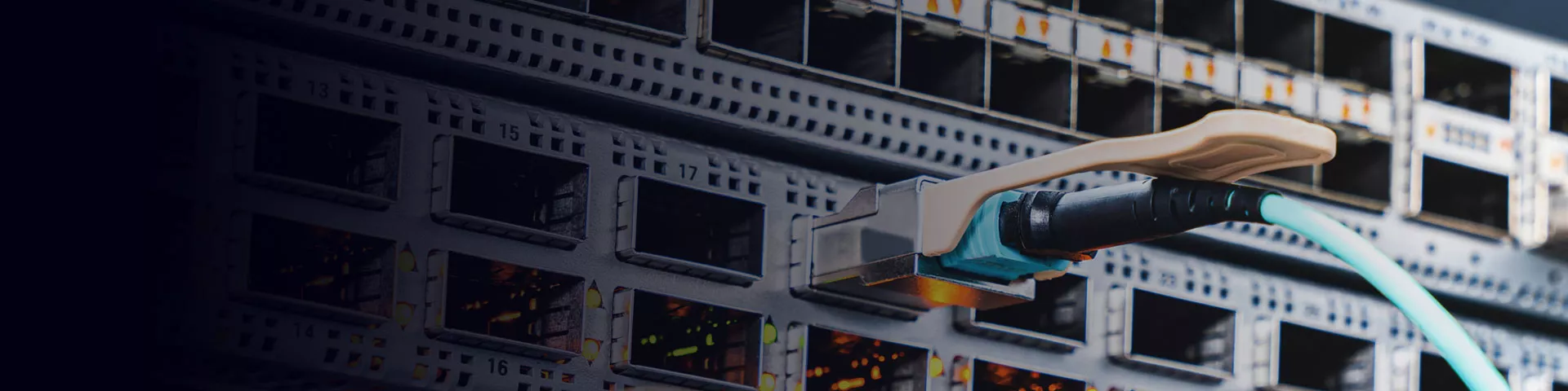 Trxcom Fiber Optic Cage & Connector Applications